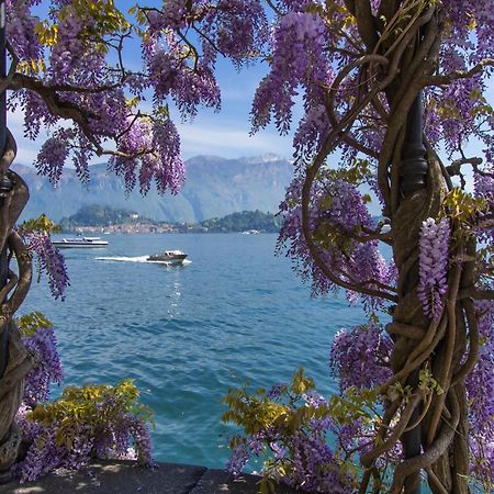 Como Lake Modern Apartament Ulivi Apartman Mezzegra Kültér fotó