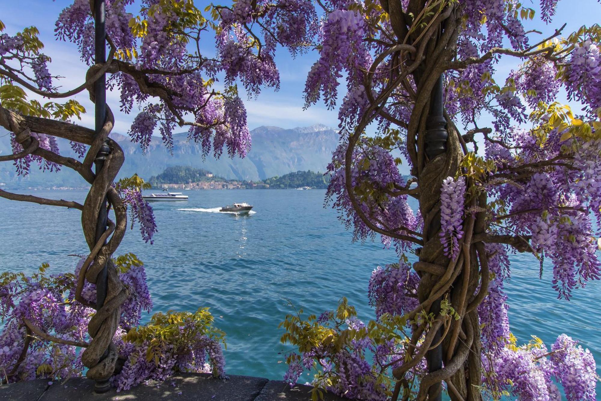 Como Lake Modern Apartament Ulivi Apartman Mezzegra Kültér fotó